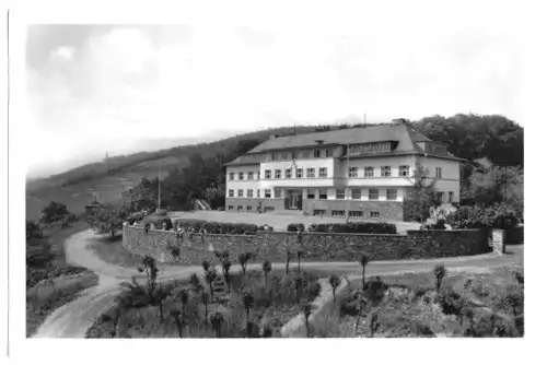 AK, Rüdesheim am Rhein, Jugendherberge, um 1958