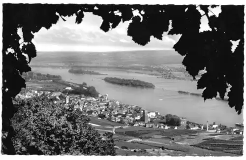 AK, Rüdesheim am Rhein, Gesamtansicht, 1956