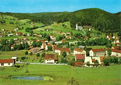 AK, Warmensteinach, Kropfbachtal, Übersicht, ca. 1979
