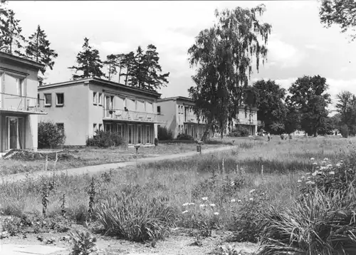 AK, Klink Kr. Waren Müritz, FDGB-Urlaubersiedlung, Teilansicht, 1973