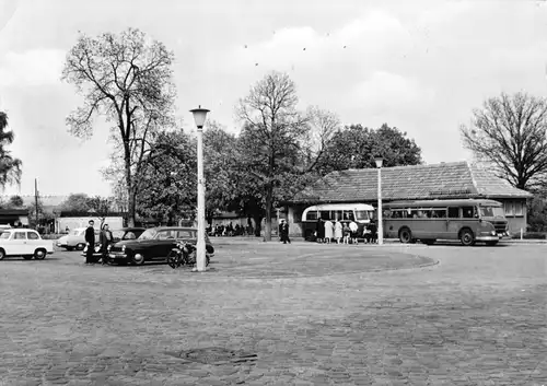 AK, Torgelow Kr. Ueckemünde, Markt mit zeitgen. Bus, 1964