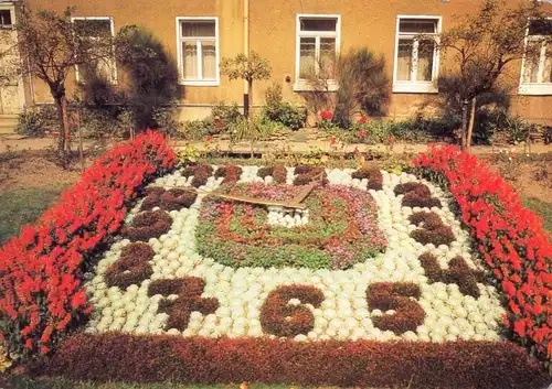 AK, Greiz, Blumenuhr im Leninpark, 1984