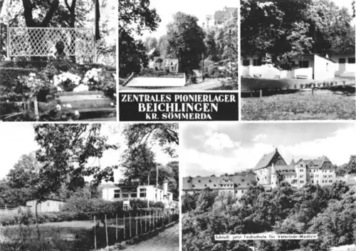 AK, Beichlingen Kr. Sömmerda, Zentr. Pionierlager, 1974