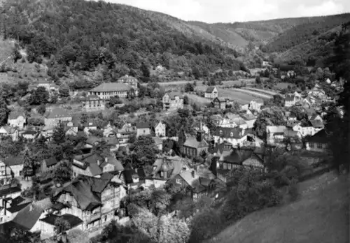 AK, Schwarzburg Thür., Teilansicht, 1973