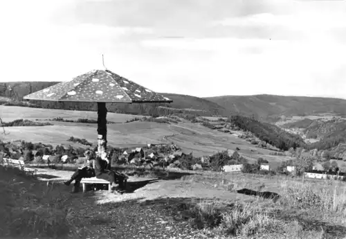 AK, Meura Thür. Wald, "Der Pilz", 1985