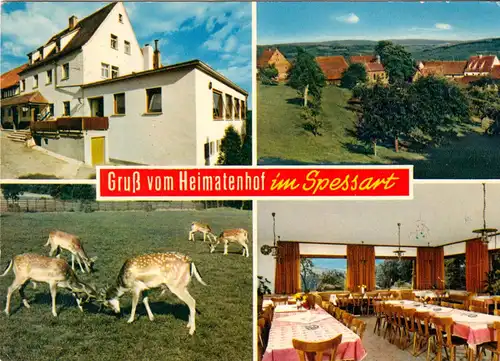 AK, Heimbuchenthal Spessart, Gasthaus und Pension "Heimatenhof", vier Abb., 1969