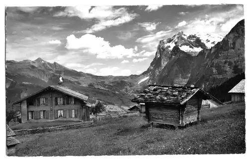AK, Alpiglen b. Grindelwald, BE, Alpenhotel, Wetterhorn, Version 1, 1960
