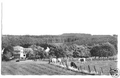 AK, Bullau b. Erbach, Pension Schumbert,  um 1963