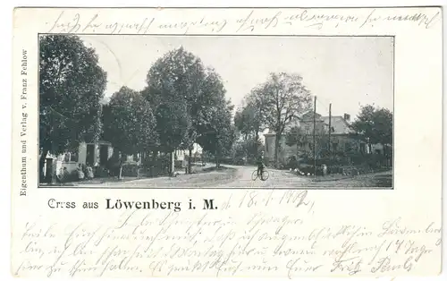 AK, Löwenberg Mark Kr. Gransee, Dorfstr. belebt, um 1902