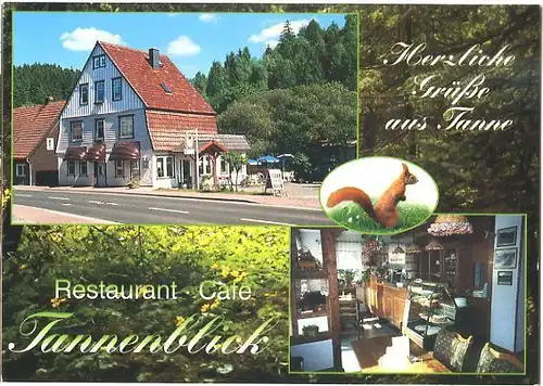 AK, Tanne Harz, Café Tannenblick, 1999