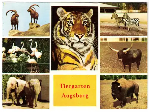 AK, Augsburg, Tiergarten Augsburg, sieben Abb., 1974