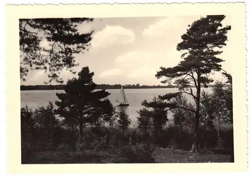 AK, Arendsee Altmark, Partie am See, Echtfoto, Handabzug, um 1968