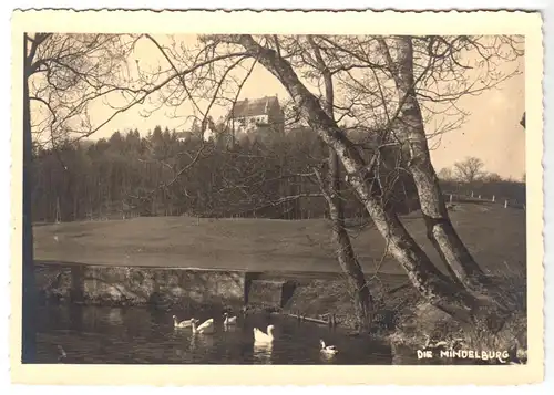 AK, Mindelhelm, Blick zur Mindelburg, um 1955