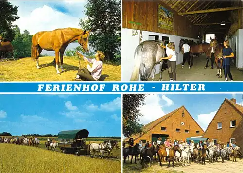 AK, Hilter, Ferienhof Rohe, vier Abb., Version 2, Pferde, um 1980