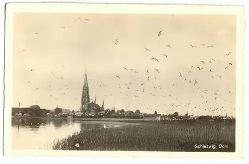 AK, Schleswig, Teilansicht mit Dom von See, um 1930