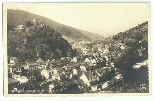 AK, Hornberg, Teilansicht, 1920