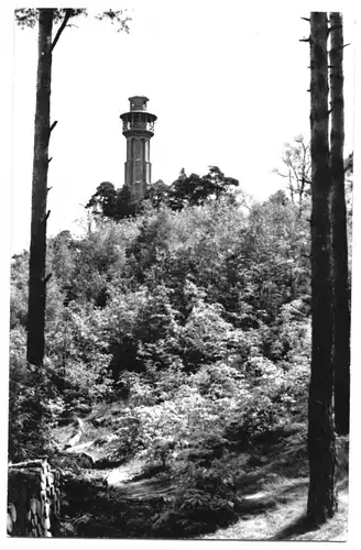 AK, Bad Freienwalde, Blick zum Aussichtsturm, um 1970