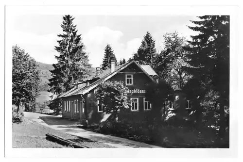 AK, Brotterode Thür., Gastst. Waldschlößchen, 1954