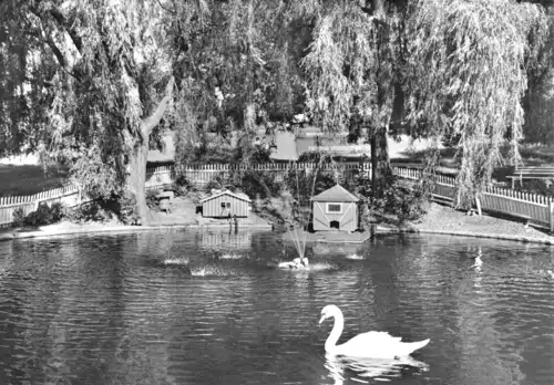 AK, Wittgendorf Kr. Rudolstadt, Anlagen mit Schwanenteich, 1977