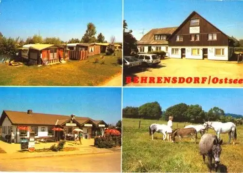 AK, Behrensdorf Ostsee, Pension, Reiterhof u. Campingplatz, Familie Schulz, 1987