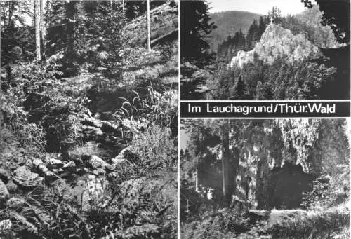 AK, Tabarz Thür. Wald, Im Lauchagrund, drei Abb., 1986