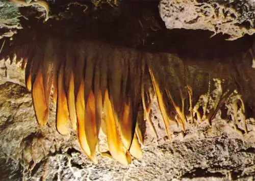 AK, Eberstadt Odenwaldkreis, Eberstadter Tropfsteinhöhle, Eselsohren, um 1978