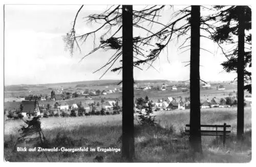 AK, Zinnwald-Georgenfeld, Gesamtansicht, 1971