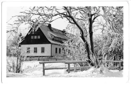 AK, Altenberg Erzgeb., Jugendherberge "Otto Buchwitz", Winteransicht 1, 1962