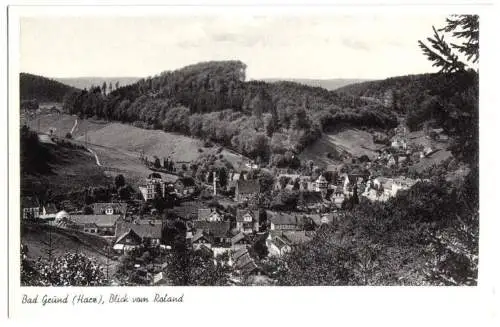 AK, Bad Grund Harz, Blick vom Roland, um 1958