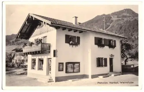 AK, Bolsterlang Allgäu, Pension Herbst, Weinstube, Echtfoto, um 1956