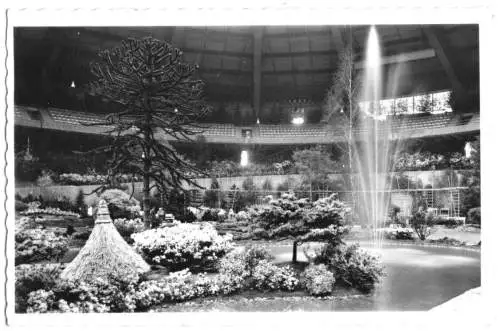 AK, Dortmund, Westfalenhalle, Innenansicht, Blumenschau, 1953