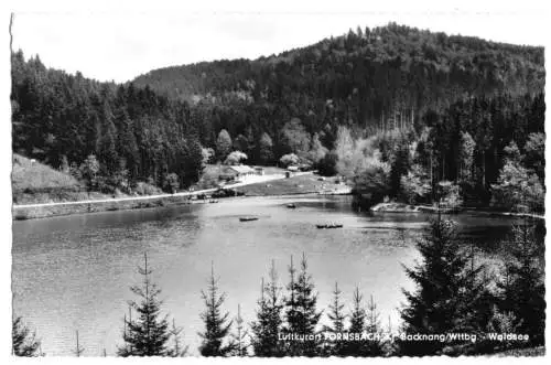 AK, Fornsbach Kr. Backnang Württ., Waldsee, um 1965