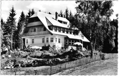 AK, Hinterzarten Schwarzw., Landhaus Faerber, 1954
