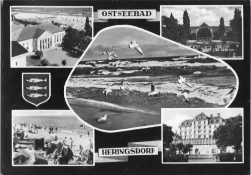 AK, Seebad Heringsdorf auf Usedom, fünf Abb., gestaltet, 1967