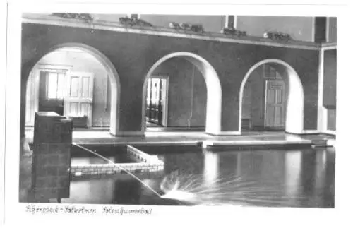 AK, Schönebeck - Salzelmen, Soleschwimmbad, innen, 1954
