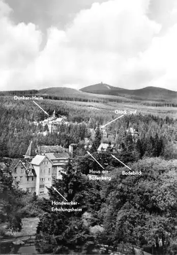 AK, Schierke Harz, Blick vom Wurmberg, Ferienobjekte, 1969