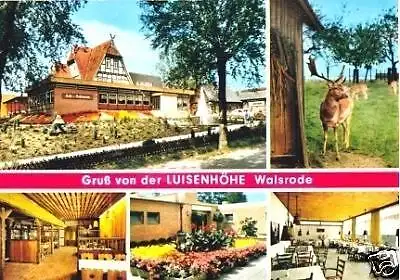 AK, Walsrode, Restaurant Luisenhöhe, fünf Abb., 1976