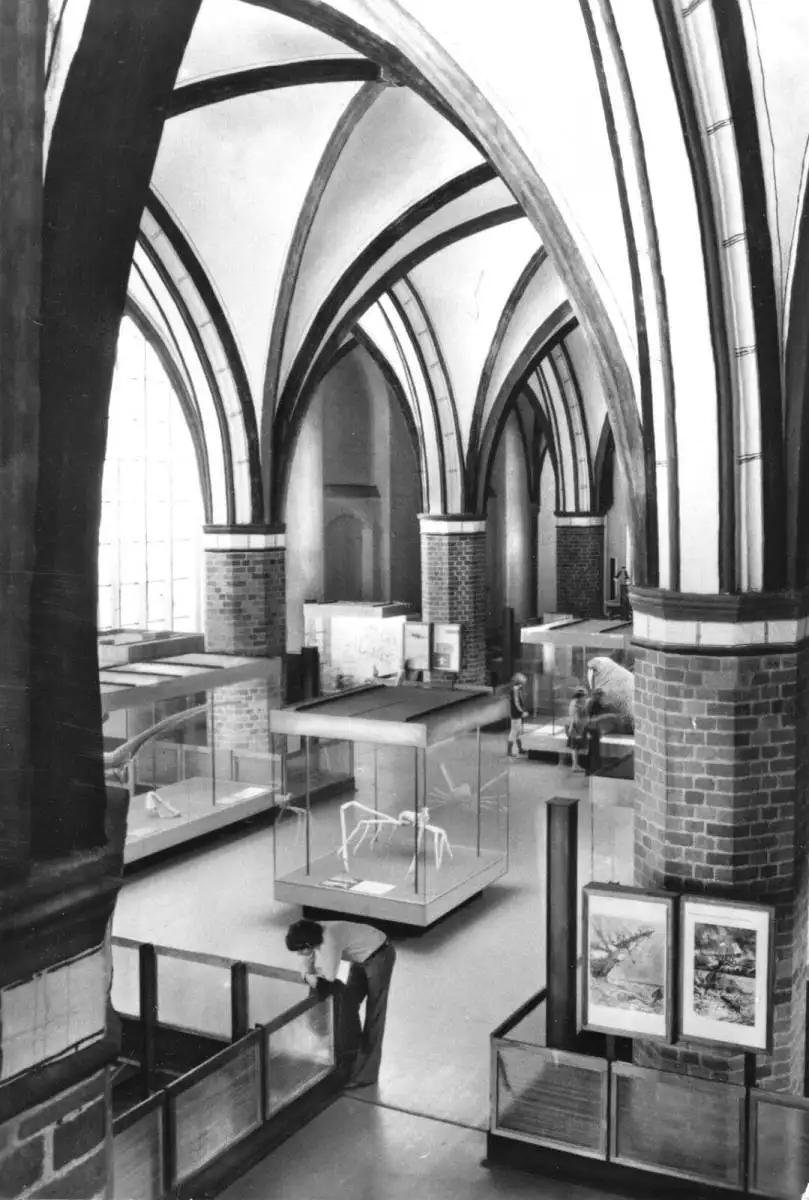 AK, Stralsund, Meeresmuseum Stralsund, Ausstellungshalle, 1979