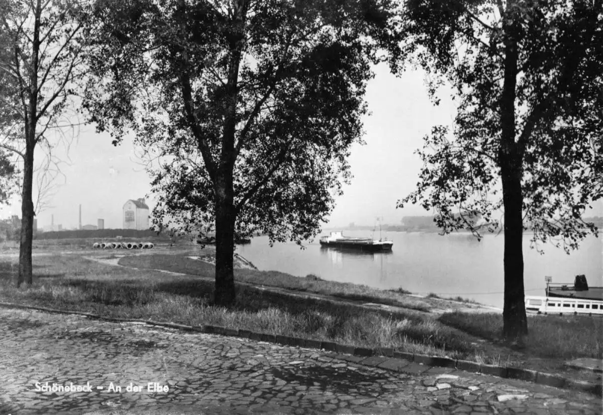 AK, Schönebeck Elbe, Partie an der Elbe, 1967