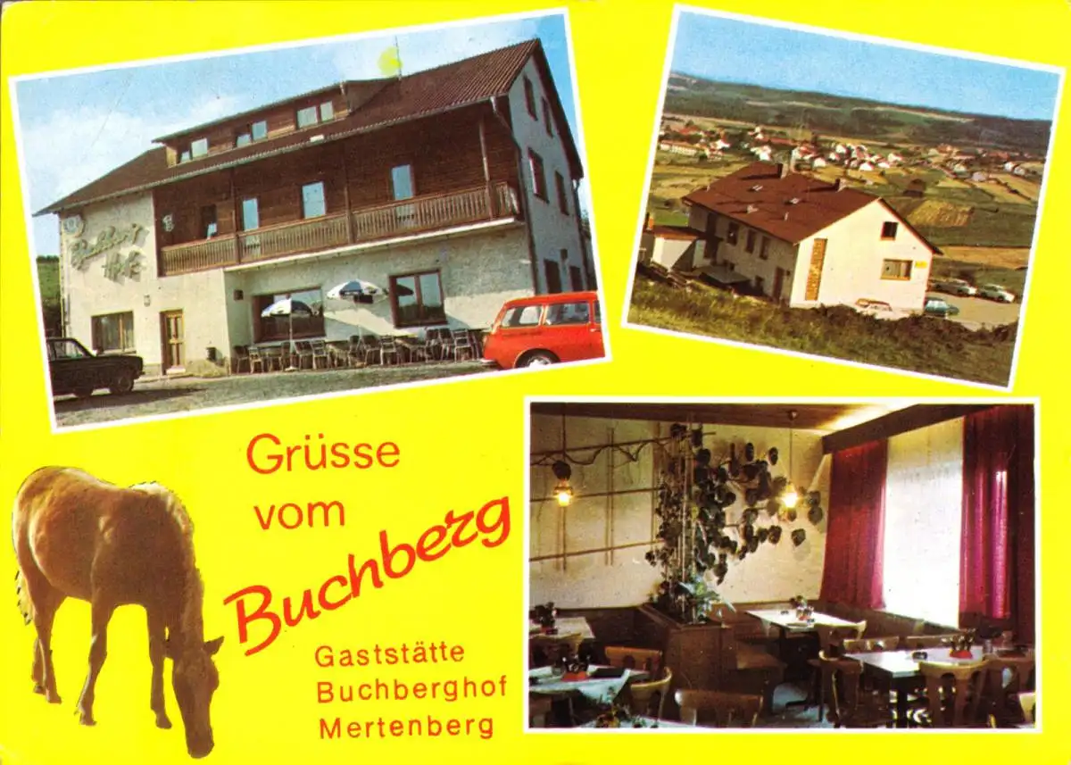 AK, Mertenberg b. Kemnath, Gaststätte und Pension Buchberghof, 1974