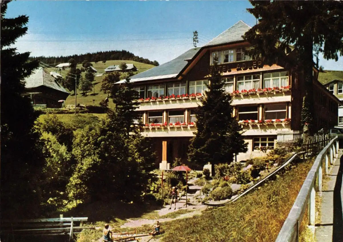 AK, Muggenbrunn Schwarzw., Hotel - Pension "Adler", um 1968