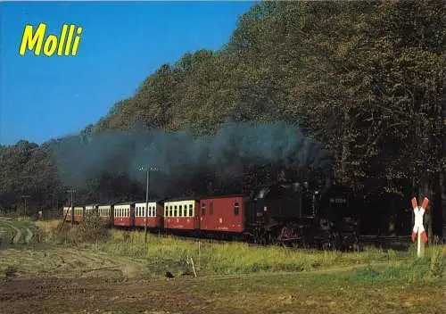 AK, Bad Doberan, Personenzug "Molli" auf dem Weg nach Bad Doberan, um 1995