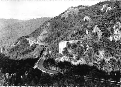 AK, Thale Harz, Partie im Steinbachtal, 1973