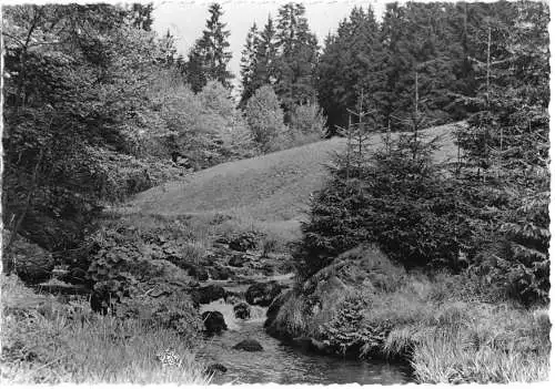 AK, Schmiedefeld a. Rstg., Im Vessertal, Echtfoto, 1958