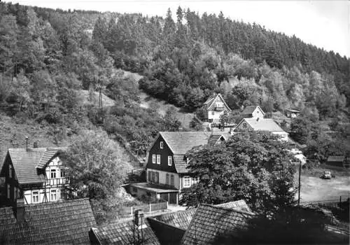AK, Biberau Kr. Hildburghausen, OT Tellerhammer, Teilansicht, 1976