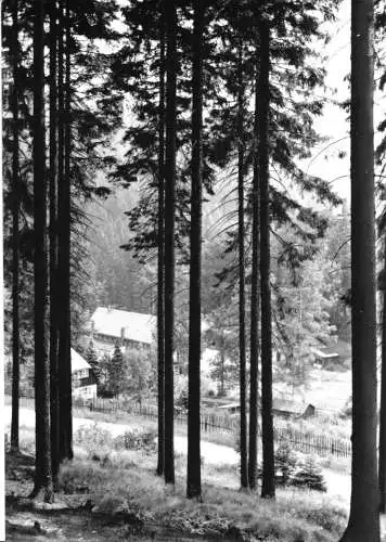 AK, Schmiedeberg OT Pöbeltal, Ferienheim Walsmühle der SDAG Wismut, 1975
