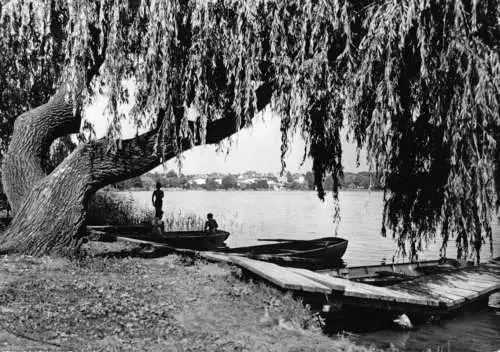 AK, Grünheide Mark, Partie am Peetzsee, Boote, 1967