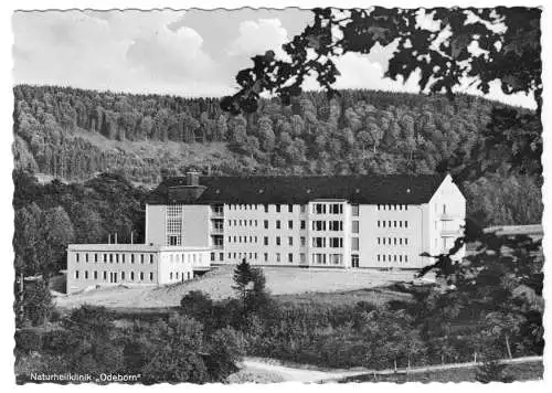 AK, Berleburg, Naturheilklinik "Odeborn", Version 4, um 1959