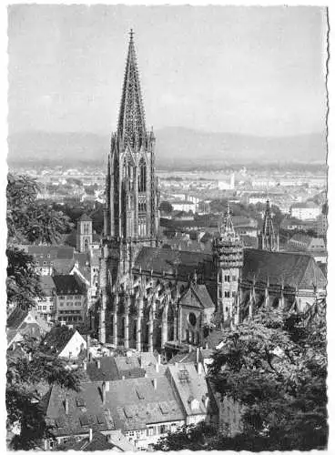 AK, Freiburg im Breisgau, Teilansicht mit Münster, um 1960