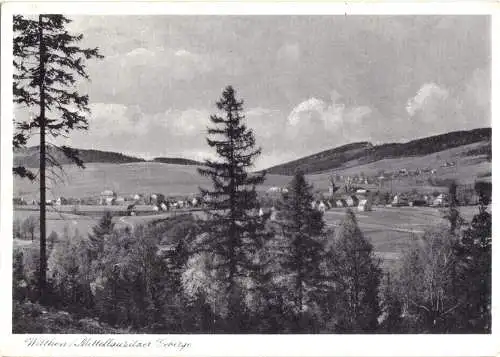 AK, Wilthen, Mittellausitzer Gebirge, Gesamtansicht, 1950